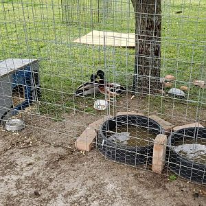 Received_655202641589527