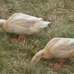 20190406_142559