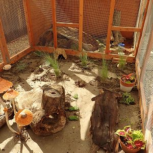 Planted Aviary
