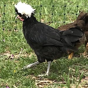 2757143A-04C3-4054-A326-D2283D4107EC