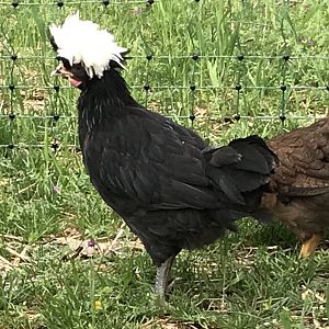 400C98AC-1852-4EF6-8AF7-910BD8F4499A