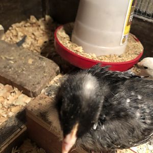 0961B298-2C00-4F83-927C-CBFEEF45C270