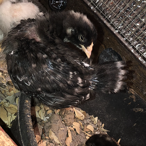 389309BE-7140-46CC-8C24-1FAC7748E997