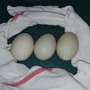 20190420_165518