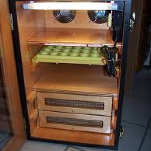 Incubators