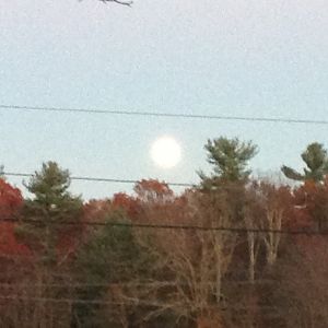 The full moon rising- “closest to the earth”