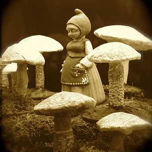 photo of gnome lady