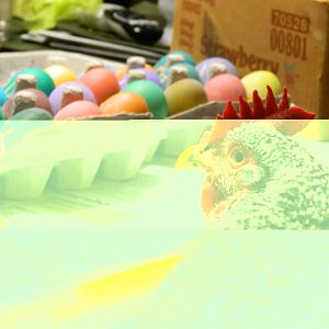 Naturally colored eggs dye great with PAAS Easter egg dye