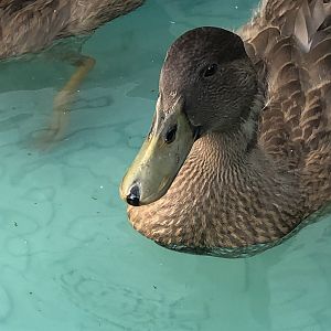 34758B0D-CACC-45A9-BAA6-2D33599F35BB