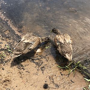 BEE69E7B-C9F7-45F4-B52B-EF10A0F24857