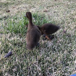 01036CF7-4E41-4FC9-8E83-81A7DA35D20B