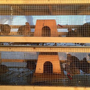 27625424_10211677840205017_8875496559162998692_o