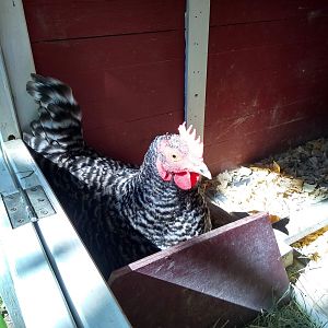 IMG_20190419_102929825_HDR