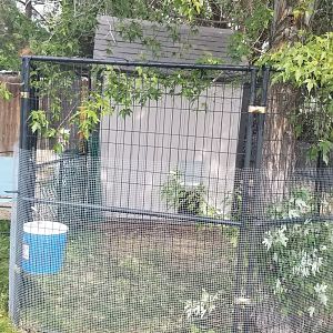 My coop
