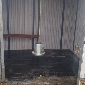 My coop