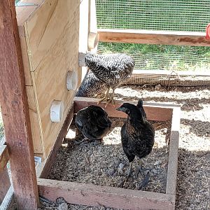 Space-saving Feeder