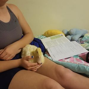 QUACKERS