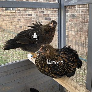 Lolly & Winona