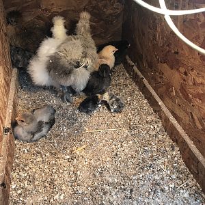 39A54BFA-C0B4-4E3B-84B6-8233182154E3