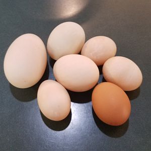 20190609_152013