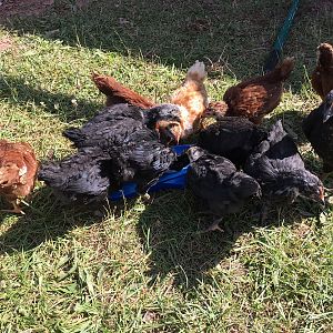 41D6D07A-79AB-471E-849F-4D9ABE63F42D