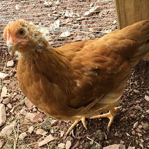 8F49A459-6AB2-4C80-95A7-07BCFB482541