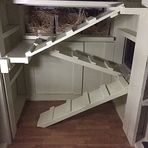 Inside - stairs to laying boxes and perches