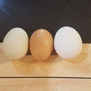 20190425_124542