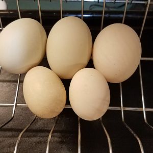 20190602_212233