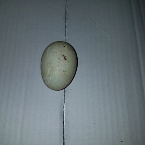 20181207_150131