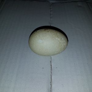 20181207_150206