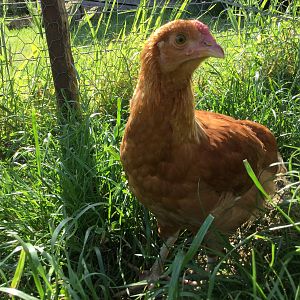 9E5F22A9-0440-40DB-9CF7-EBB73539909C