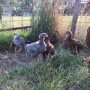 6EF14047-86EA-4E46-9B90-FEEACFC8F5A9