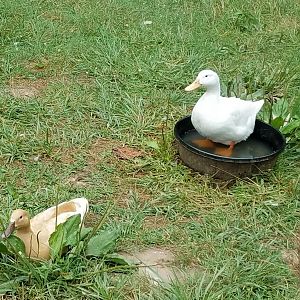 20190717_142359