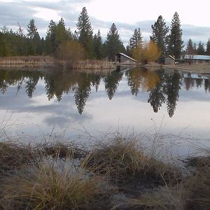 Pond