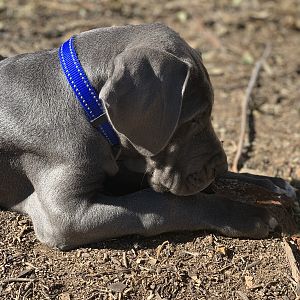 C2A9C73F-FFDD-4D85-BE24-95ADF6906395