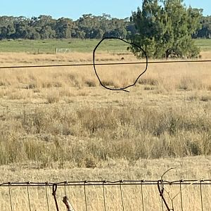 F8B808BE-E57F-4B07-B4F8-ACF51E50D28E