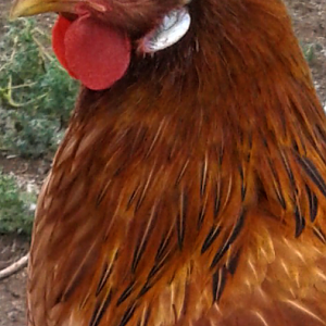 Screenshot_20190731-163429