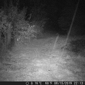 Hail_DSCF0738-08-15-2019-001