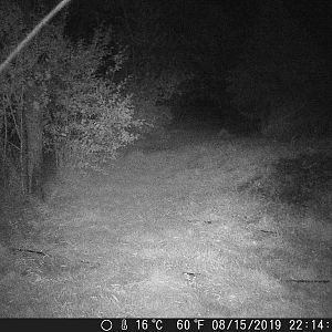 Hail_DSCF0740-08-15-2019-001