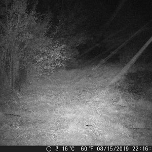 Hail_DSCF0747-08-15-2019-001