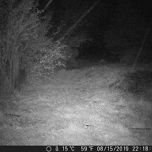 Hail_DSCF0751-08-15-2019-001