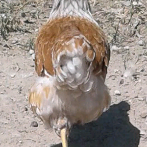 Screenshot_20190831-205238