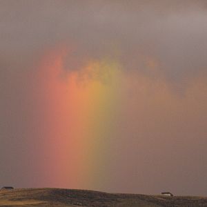 Rainbow_X9089336_09-09-2019-001
