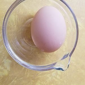 First Egg