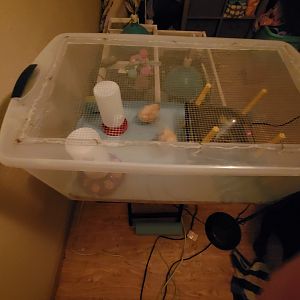 20191005_051126