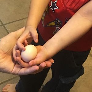 First egg!