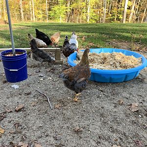 Not too sure about that pool...