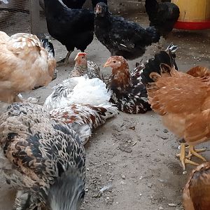 ٢٠١٩١٠٣٠_١٦٢٠٠٠