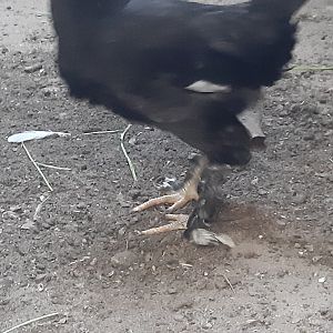 ٢٠١٩١١٠١_١٦٠١٢٦